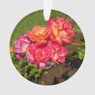 Rose de manteau Joseph n° 1 Ornement