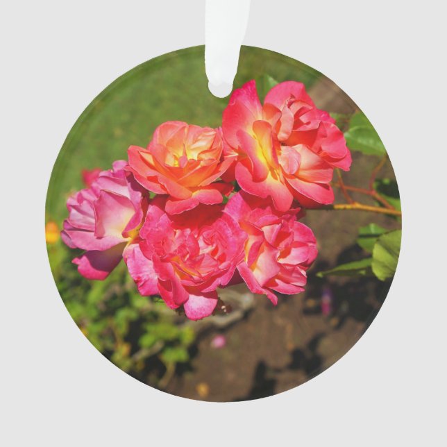 Rose de manteau Joseph n° 1 Ornement (devant)