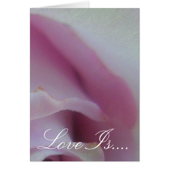 Rose de mariage lilas (Devant)