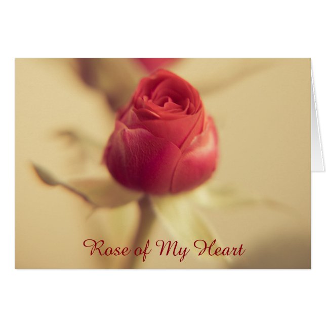 Rose de mon cœur (Devant Horizontal)