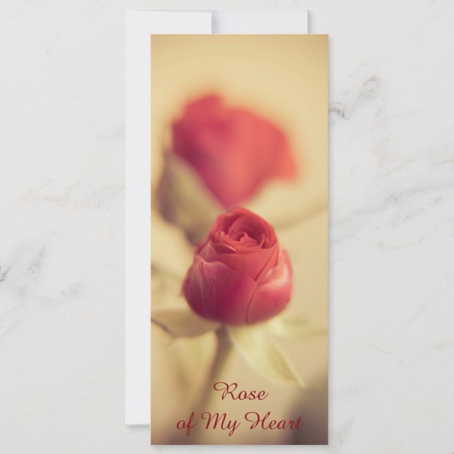 Rose de mon coeur (Devant)