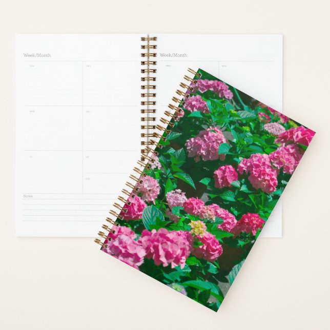 Rose de Noël Helleborus Fleurs florales (Devant avec enveloppe)
