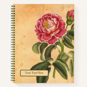 Rose de Provence Carnet spiral
