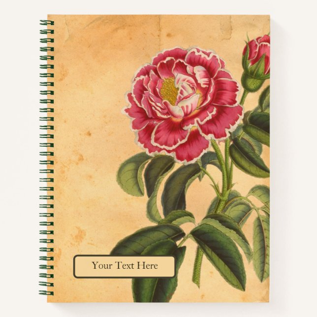Rose de Provence Carnet spiral (Devant)