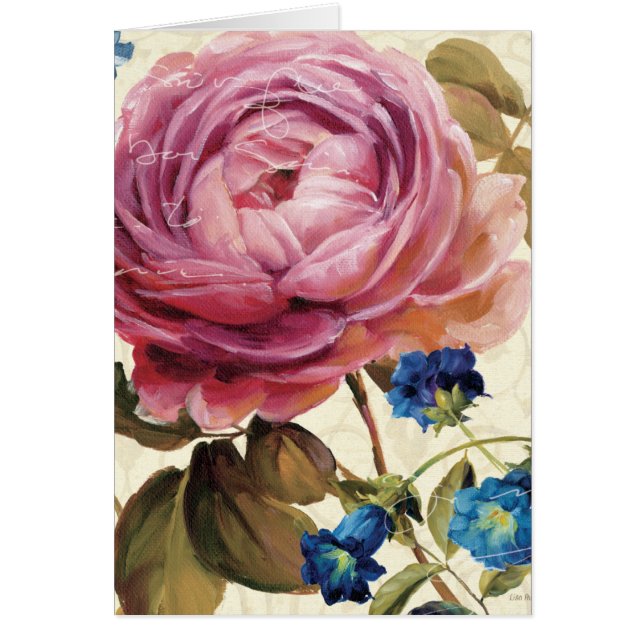 Rose de rose en pleine floraison (Devant)
