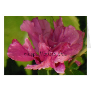 Rose de Sharon Happy Mother's Day