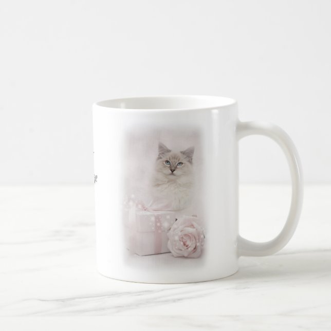 Rose de tasse de Ragdoll (Droite)