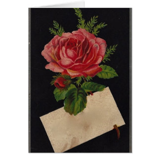 Rose de thé victorien classique