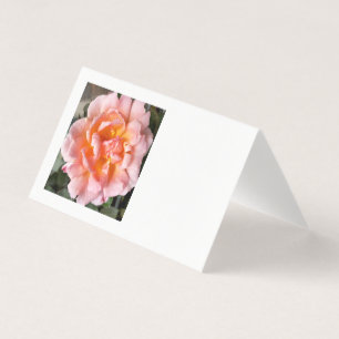 rose en automne