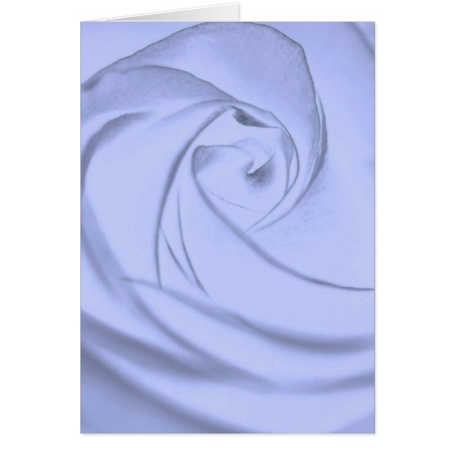 Rose en bleu.jpg (Devant)