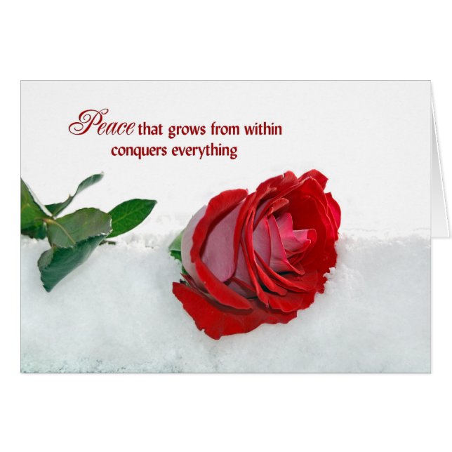 Rose en hiver (Devant Horizontal)