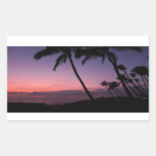 Rose et autocollant tropical pourpre de rectangle