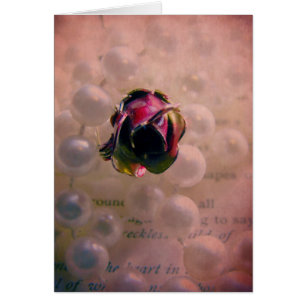 Rose et perles à vie morte