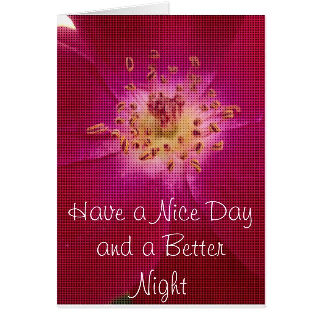 Rose Extraordinaire vérifié.jpg (Devant)