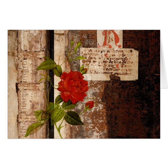 Rose Grunge (Devant Horizontal)