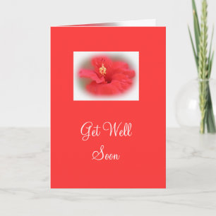 Rose Hibiscus Obtenir la carte de bien