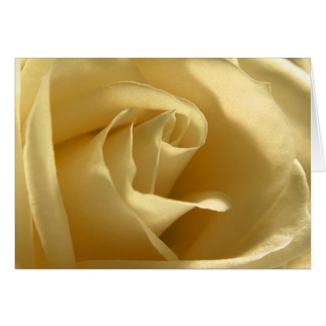 Rose jaune (Devant horizontal)