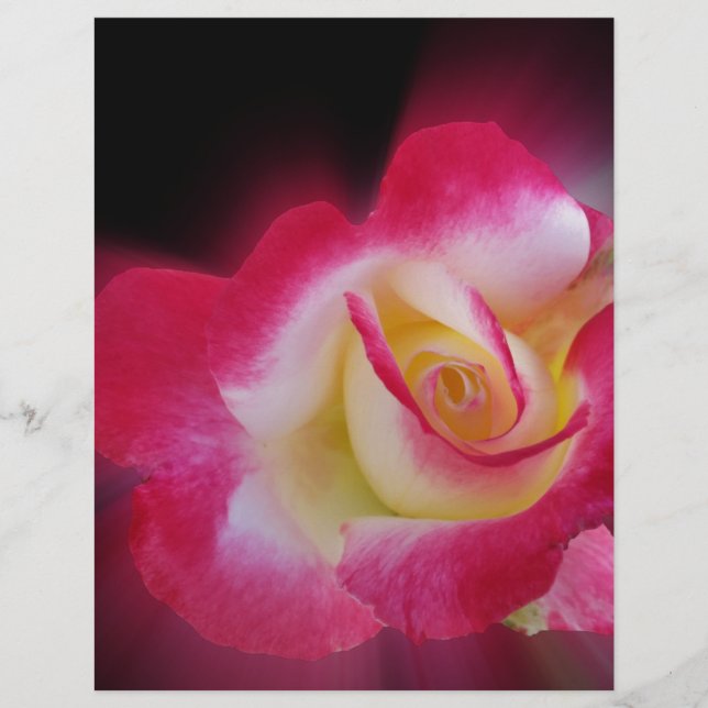 rose jaune (Devant)