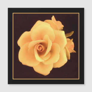 Rose jaune, 2004 Photo.