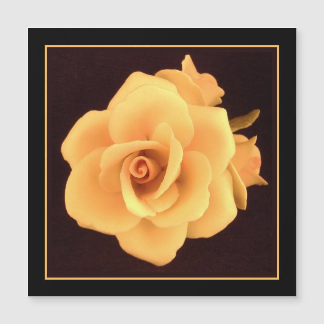 Rose jaune, 2004 Photo. (Devant)