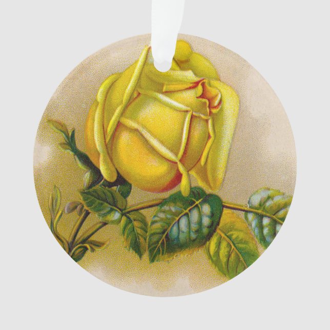 Rose jaune Antique Vintage Imprimer Art (devant)