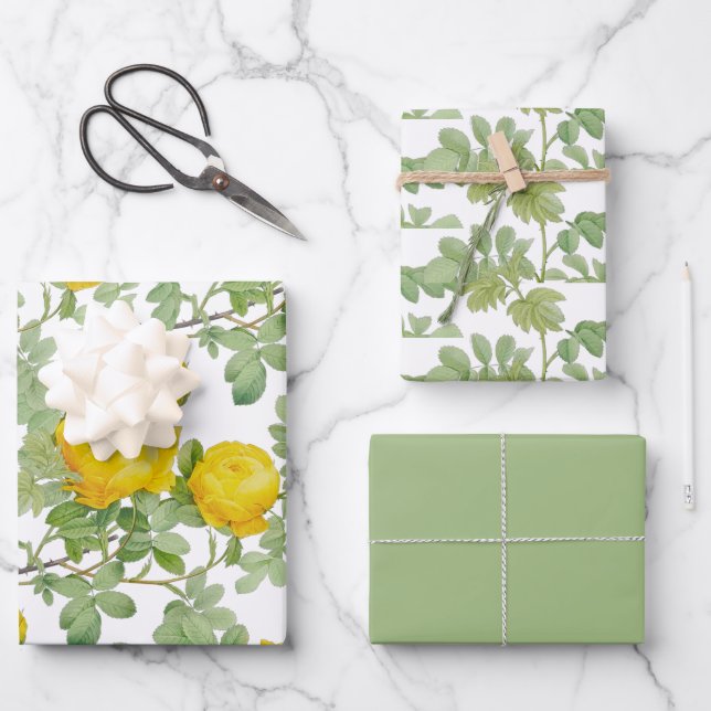 Rose jaune avec feuilles vertes  (Recto)