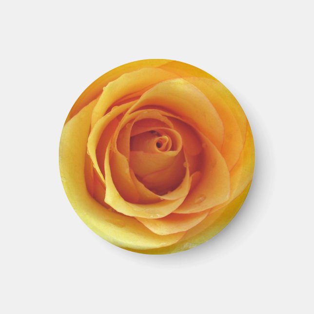 Rose jaune du Texas Magnet (Devant)