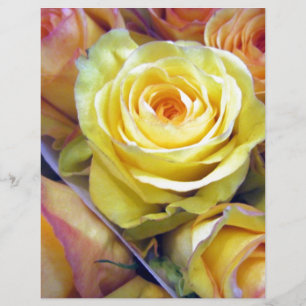 Rose jaune et orange