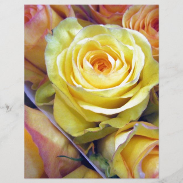 Rose jaune et orange (Devant)