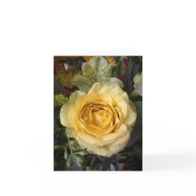Rose jaune| Flore élégante| Merci