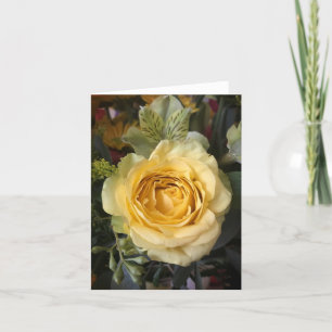 Rose jaune  Flore élégante  Merci