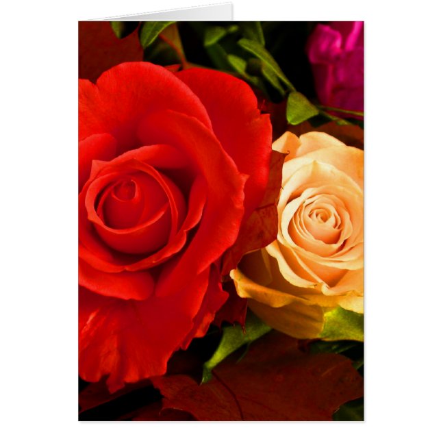 Rose jaune rouge (Devant)