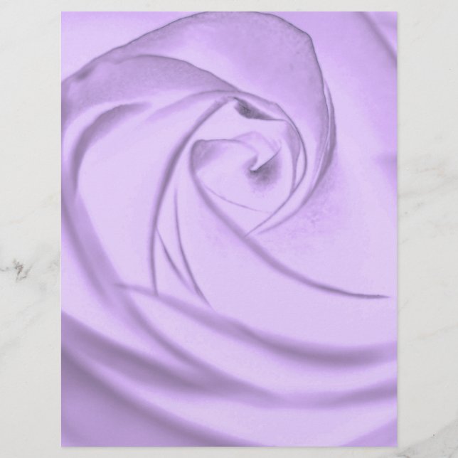 Rose -lavender.jpg (Devant)
