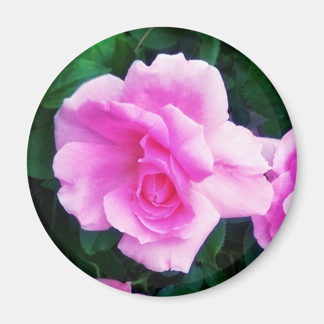 ROSE MAGNET (Devant)