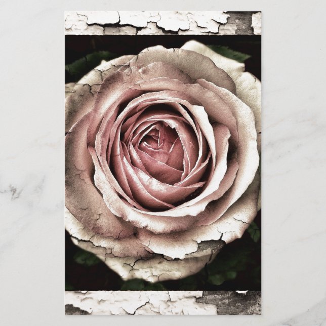 Rose magnifique (Devant)
