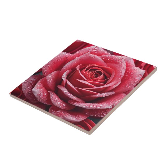 Rose Mark Carreaux en céramique : Ajouter du charm (Côté)