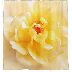 Rose mou de couleurs claires de rideau en douche
