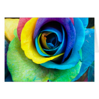 Rose multicolore par SnapDaddy, peut personnaliser