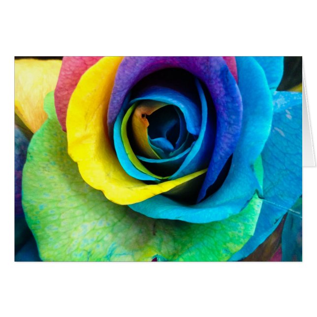 Rose multicolore par SnapDaddy, peut personnaliser (Devant horizontal)