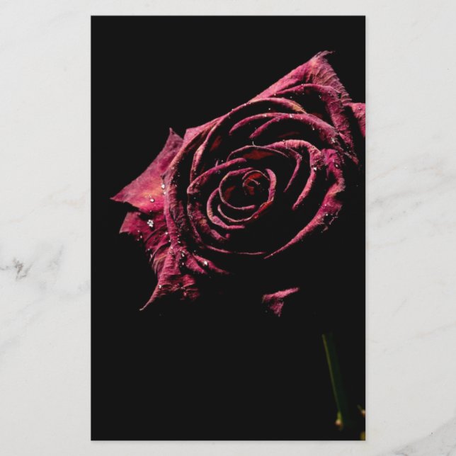 rose noir (Devant)