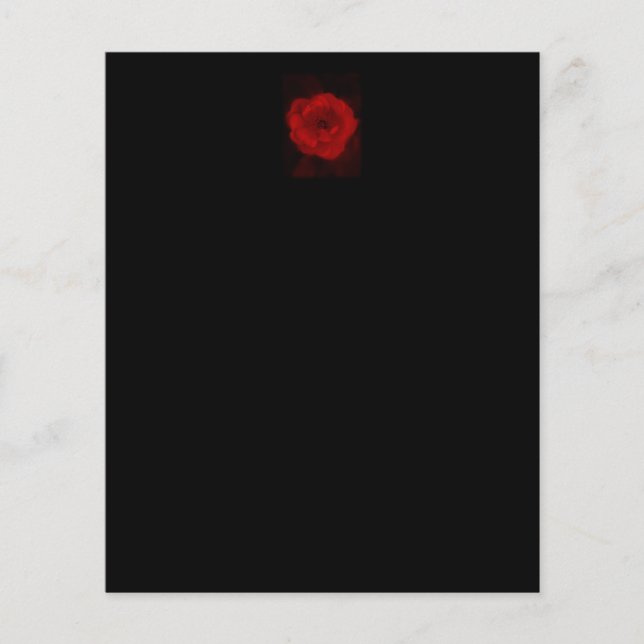 Rose noire et rouge. (Devant)