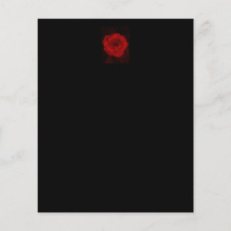 Rose noire et rouge.