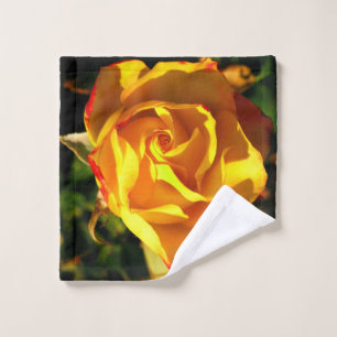 Rose orange