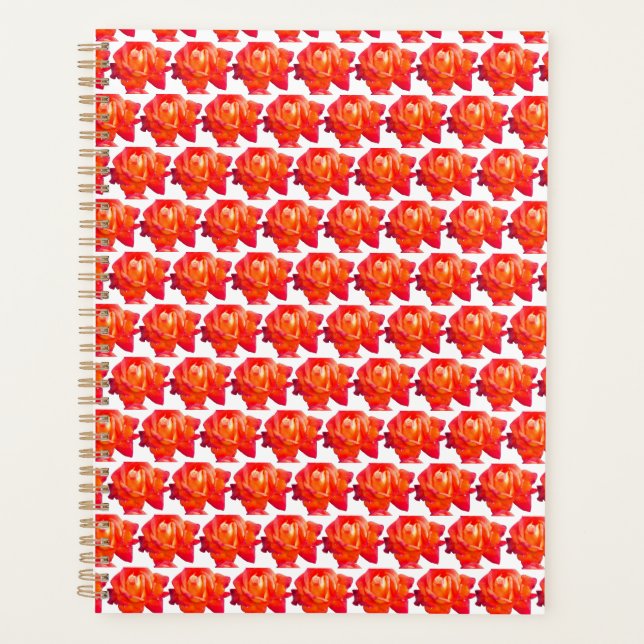 Rose orange (Devant)