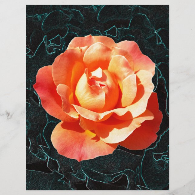 Rose orange clair (Devant)
