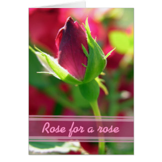 Rose pour un bourgeon rouge rose