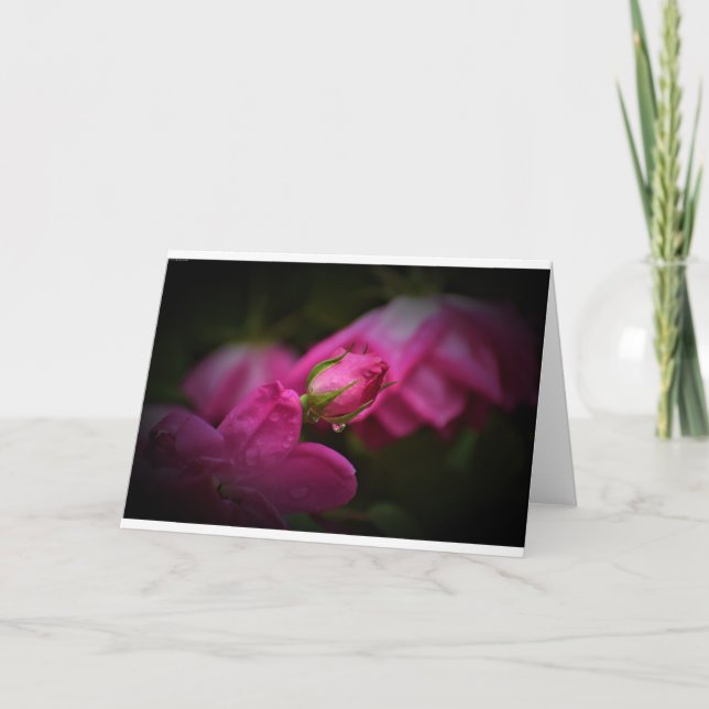 Rose & Raindrops, carte (Devant)