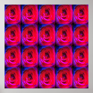 Rose Red Miami, affiche