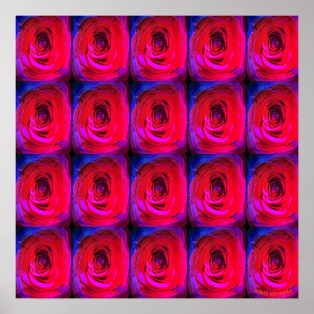 Rose Red Miami, affiche (Devant)