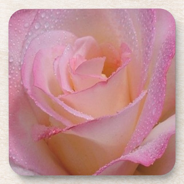 Rose réglé de rose de dessous de verre de liège (Devant)